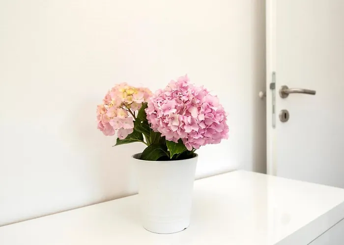 Проживание в семье Matej Бибинье